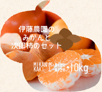 伊藤農園のみかんと次郎柿のセット／みかんM/柿L・10kg